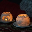 엠에이스튜디오 이미지