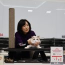 랙돌캐터리파이널돌 | [랄라스윗 랙돌캐터리] 94–95th TICA-KOCC CAT SHOW 캣쇼 후기