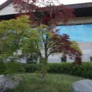 무주안성CC 이미지