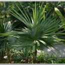 파인포유 이미지