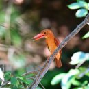 옥산세천 이미지