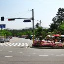 노점(농산물)