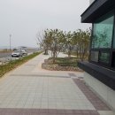 히트레저낚시 Daum카페