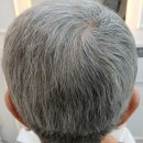 착한염색&착한가발 | 흰머리 염색 대신 선택한 방법, 통가발이 정답입니다