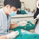 서울오치과의원 이미지