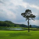 주은물산 | 레이크사이드cc 회원권 시세와 주변 맛집 후기