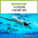 서구 청소년수련관 내 이미지