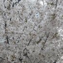 홍주농장 이미지