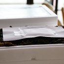 청정환경(유) 이미지