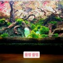 다른나미용실 | 광교미용실 레이어드컷 후기, 다른 미용실과 다른 이유는 자연스러운 상담에 있습니다