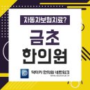 금초한의원