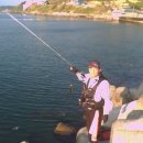 임곡1리 이미지