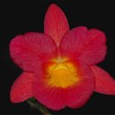 소전2리 이미지