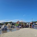 원산도 해수욕장 푸드존 | 2025 보령머드축제 후기 머드체험 일반존 대천해수욕장 밤공연