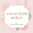 메이플비치호텔 | 아이와 1박 강릉여행 숙소추천 메이플비치호텔앤리조트 디럭스