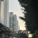 영스 - 익산시 고봉로 141 | [충정로 필라테스] '영스 필라테스' 재등록 후기~