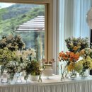 수지장식 | (수지) 돌준맘 ⭐️수지의 정원⭐️ 계약 완료 후기