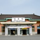 로뎀트리로뎀나무
