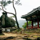 요선정 이미지