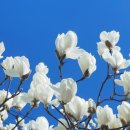 성곡중학교 이미지