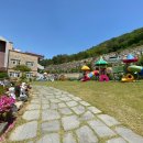 킨더숲유치원 이미지