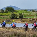 하모리-21 이미지