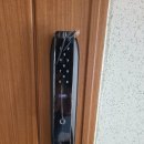 목련헤어라인 이미지