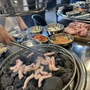풍만돼지