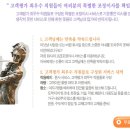 광고일번지