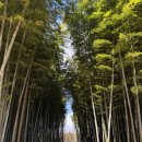 승준목장 이미지