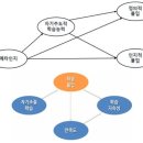 메타교육