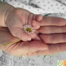 송탄소나무한의원 이미지