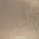 점자와 만나다-기초편 | 보습크림 유목민 정착 완료! 수분이 피부 속까지 꽉 차는 오하브 보습크림 솔직 후기