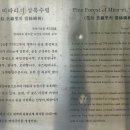 완도 미라리 상록수림 | 남도 섬여행4 : 소안도