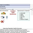 Re: Cardiovascular-kidney-metabolic syndrome.. cell metabolism 2023!! 이미지