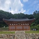 흰구름 속 사찰, 사적은 가물가물 - 예천 청룡사