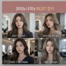 코이노니아스튜디오