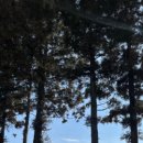 풍류농장2 이미지