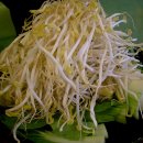 어바웃샤브샤브 이미지