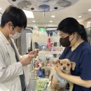 독스동물병원 이미지