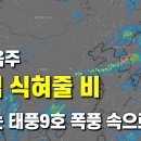 단비주