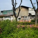 스마트폰으로 보는 세상 이미지