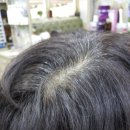 향기나라 이미지