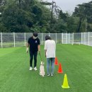 고쳐줄개 이미지