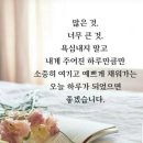 안녕하세요 이미지