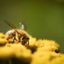 쌍용골프존파크 이미지