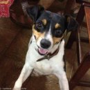 아기사랑 이미지