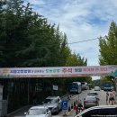 서울고등법원 | 일상 #서울고등법원 장터, 명절 선물 추천, 고등법원 명절 장터 후기