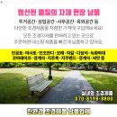 동광골재환경 - 3142 | 동광골재환경