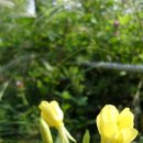 노을공원4 이미지